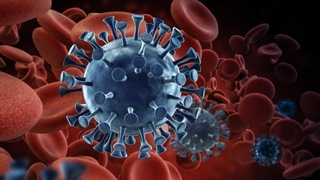 Komşuda SARS virüsü alarmı