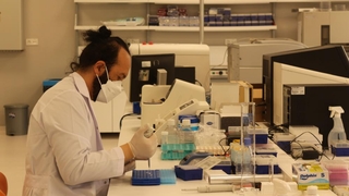 Komşuda yeni mutant görüldü