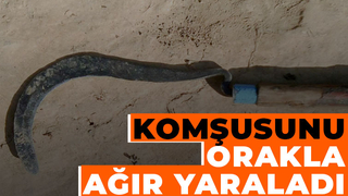 Komşusunu orakla yaraladı