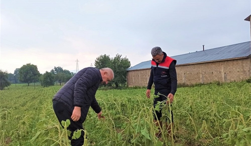 Komşuyu dolu vurdu, zarar büyük