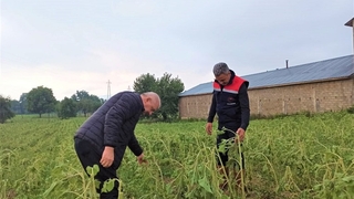 Komşuyu dolu vurdu, zarar büyük