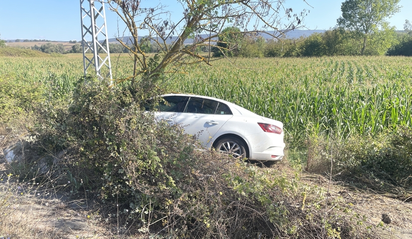 Kontrolden çıkan otomobil, tarlaya girdi