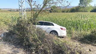 Kontrolden çıkan otomobil, tarlaya girdi