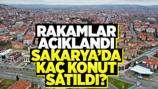 Konut satış rakamları açıklandı