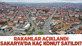 Konut satış rakamları açıklandı