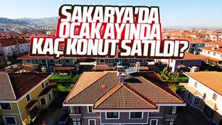 Konut satışları 7 ay sonra 100 binin altında