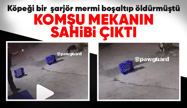 Köpeğe bir şarjör mermi boşaltmıştı o cani yakalandı
