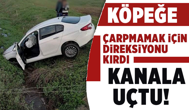 Köpeğe çarpmamak için kanala uçtu