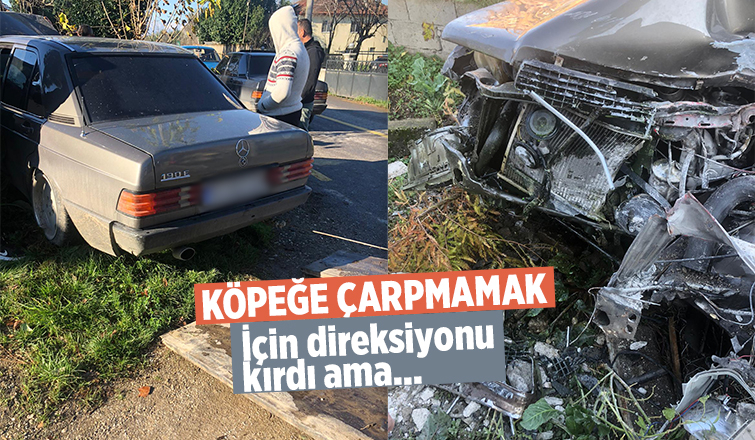 Köpeğe çarpmamak için kaza yaptı