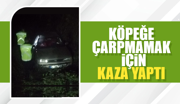 Köpeğe çarpmamak için manevra yapıp şarampole uçtu