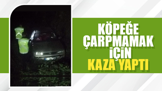 Köpeğe çarpmamak için manevra yapıp şarampole uçtu