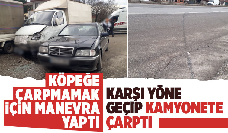 Köpeğe çarpmamak isterken karşı yöne geçip kamyonete çarptı