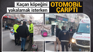 Köpeği kurtarayım derken canından olacaktı