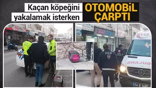 Köpeği kurtarayım derken canından olacaktı