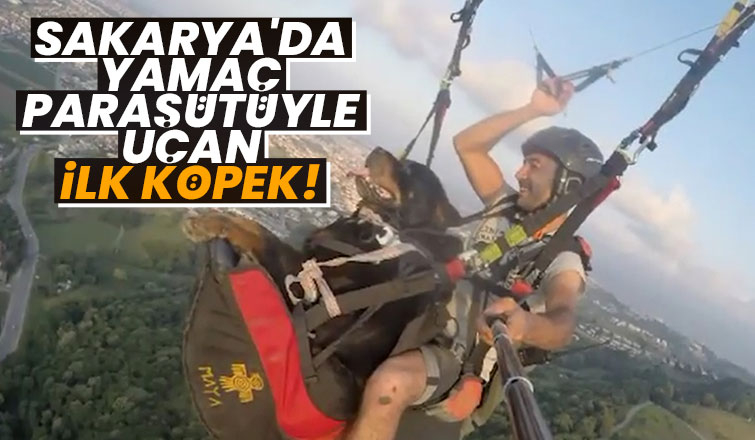 Köpeğiyle Serdivan'da uçtu