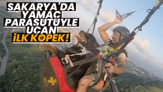 Köpeğiyle Serdivan'da uçtu