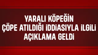 Köpek çöpe atılmıştı, yeni gelişme
