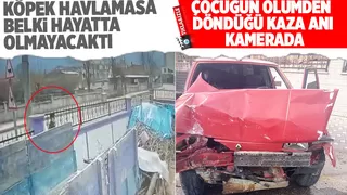 Köpek havladı hayatı kurtuldu