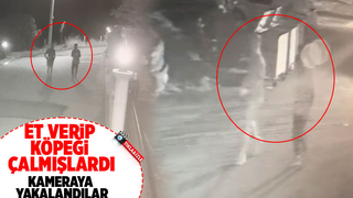 Köpek hırsızları kamerada