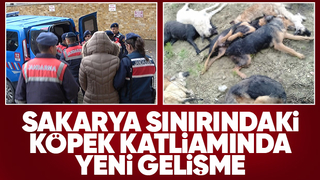 Köpek katliamında 4 kişiye tahliye