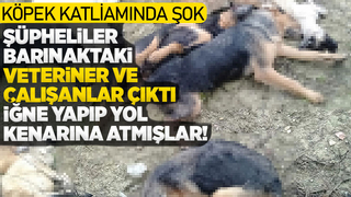 Köpek katliamında şüpheliler barınak veterineri ve çalışanları çıktı