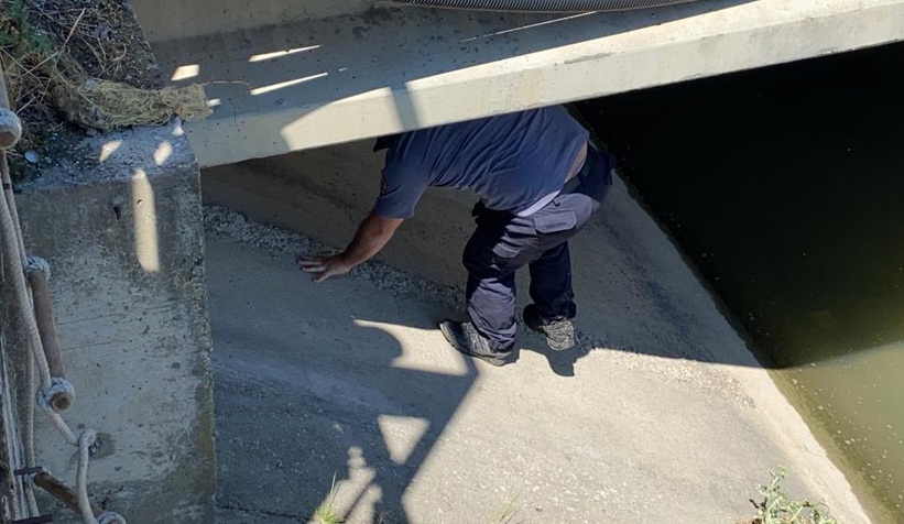 Köpek korkusundan sığındığı köprü altında mahsur kaldı