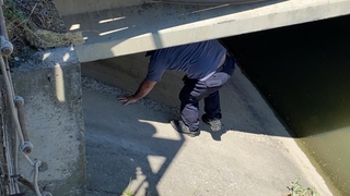 Köpek korkusundan sığındığı köprü altında mahsur kaldı