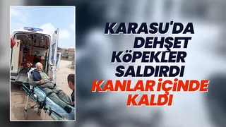 Köpeklerin saldırdığı yaşlı adam kanlar içinde kaldı