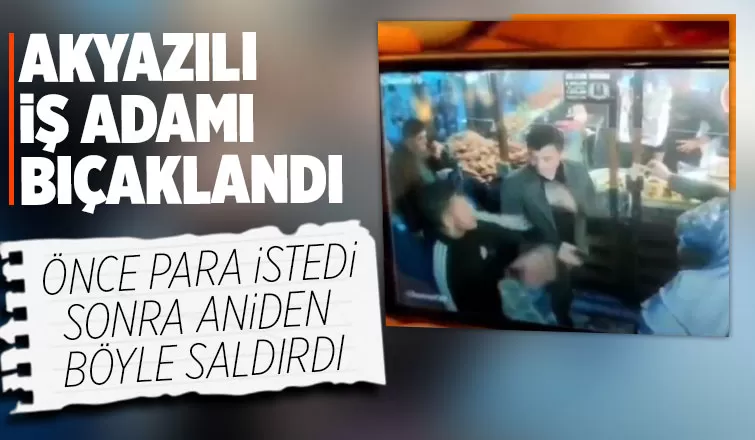 Köpekleriyle şadırvanı mesken tuttu