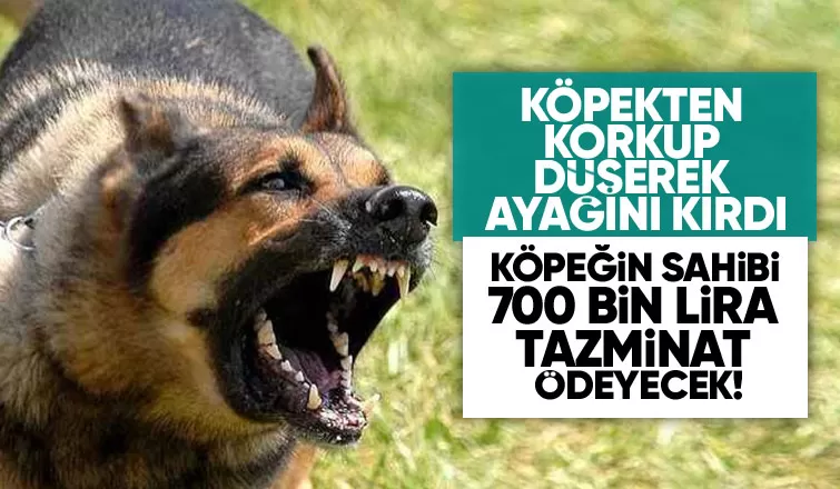 Köpekten korkup düşen doktor ayağını kırdı: Köpek sahibine 700 bin TL ceza