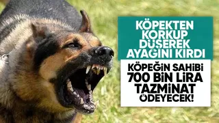 Köpekten korkup düşen doktor ayağını kırdı: Köpek sahibine 700 bin TL ceza