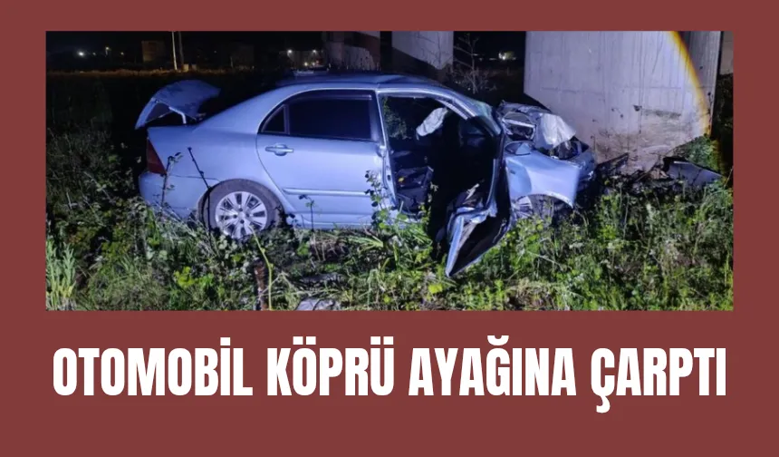 Köprü ayağına çarptı: 2 yaralı