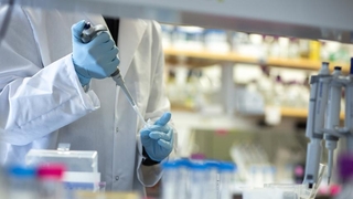 Korkutan araştırma: Virüs mutasyon geçirdi, daha ölümcül