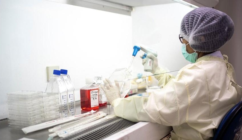 Korona ile ilgili çarpıcı çalışma