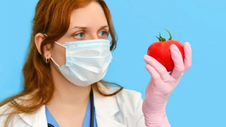 Korona virüse karşı domates aşısı