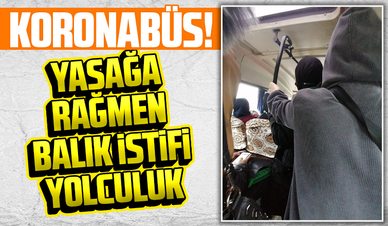 Koronabüste balık istifi yolculuk