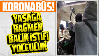 Koronabüste balık istifi yolculuk