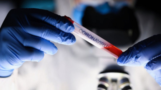 Koronanın 17 farklı mutasyonu çıktı