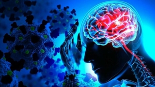 Koronanın beyin hücreleriyle birleşebildiği kanıtlandı