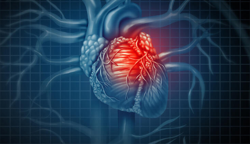 Koronavirüs ani kalp durmasına yol açabilir