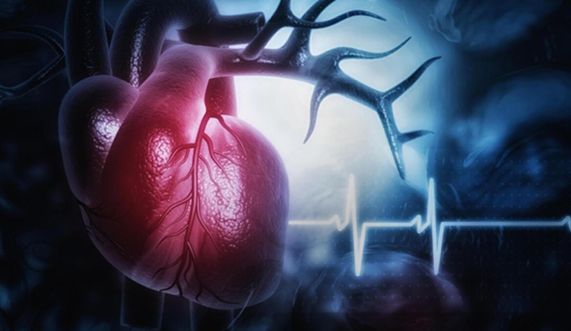 Koronavirüs geçirenlere kritik uyarı