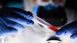 Koronavirüs hakkında neler biliyoruz?