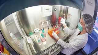 Koronavirüs için oluşan antikorlar vücuda zarar verebiliyor