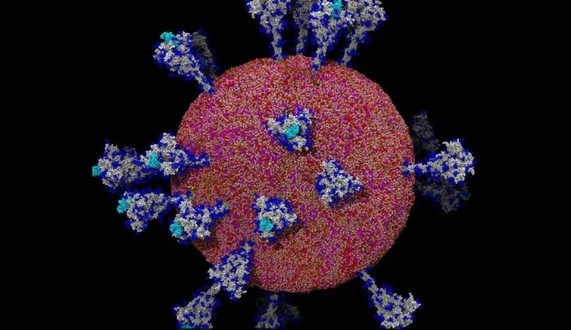 Koronavirüs ilk kez bu kadar net görüldü