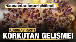 Koronavirüste korkutan gelişme! Şu ana dek eşi benzeri görülmedi