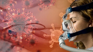 Koronavirüste yeni dönemin ilk verileri