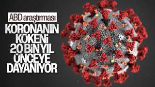 Koronavirüsün kökeni, 20 bin yıl önceye dayanıyor