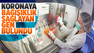 Koronaya bağışıklık sağlayan gen bulundu