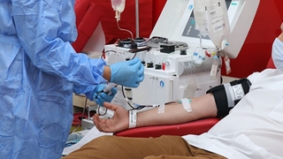 Koronayı yenip immün plazma bağışçısı oldular