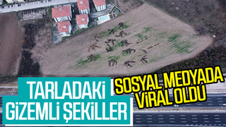 Korucuk'ta çekilen bu fotoğraf sosyal medyada viral oldu